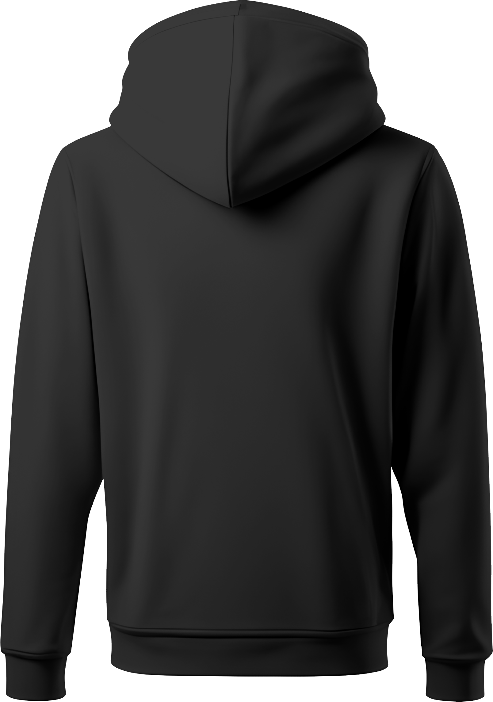 Hoodie back view